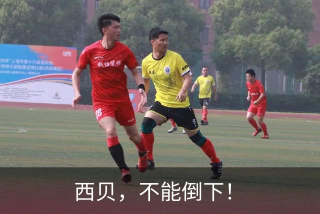 西贝，不能倒下！